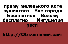 приму маленького кота пушистого - Все города Бесплатное » Возьму бесплатно   . Ингушетия респ.